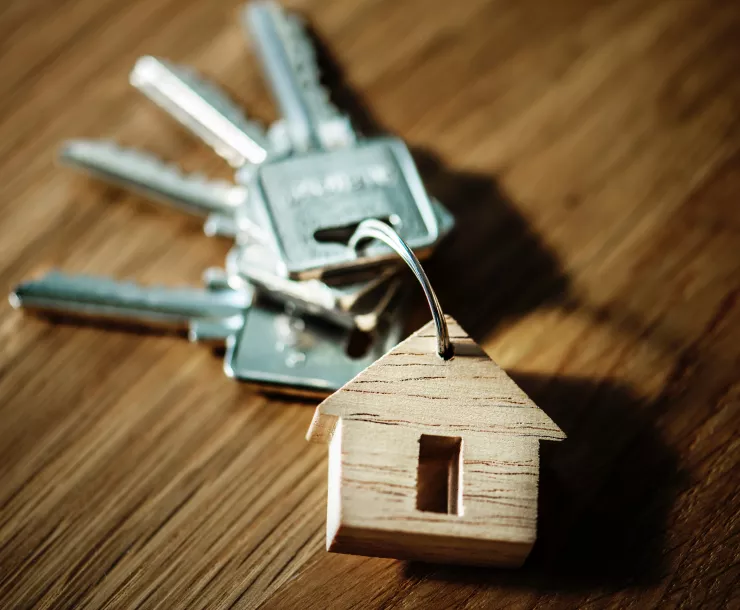 rawpixel-1053187-unsplash (1).jpg