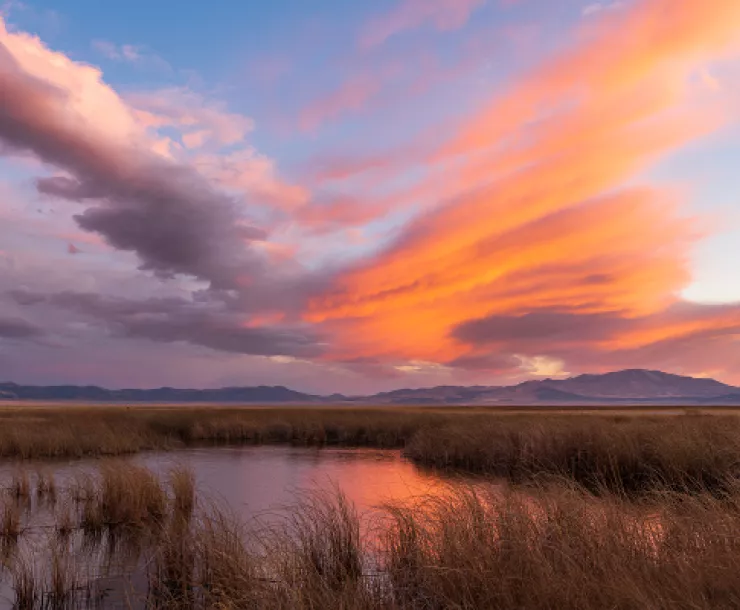 ruby lake NWR_23_SSady_600.JPG