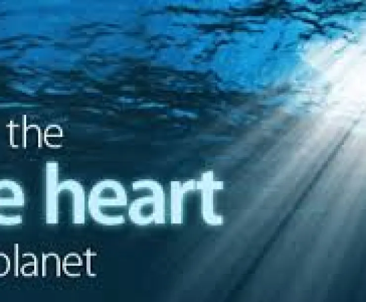 save our oceans.jpg