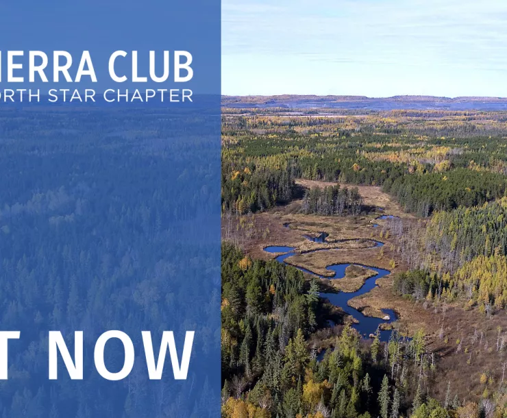 sc-social-take-action-polymet (1).jpg