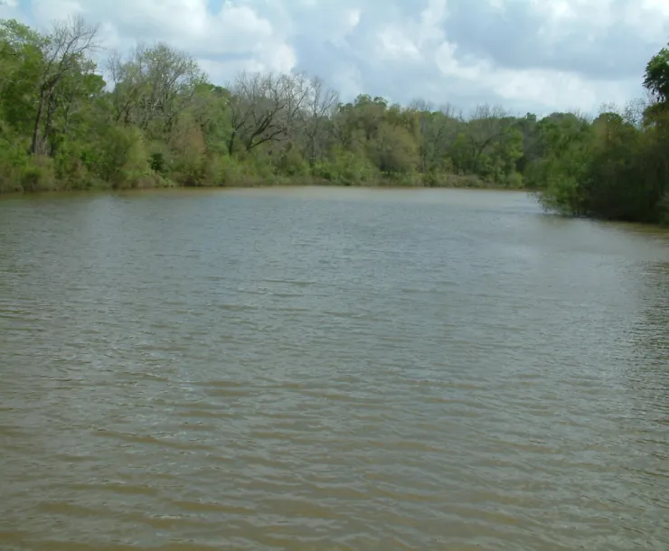 scenicRiver.jpg