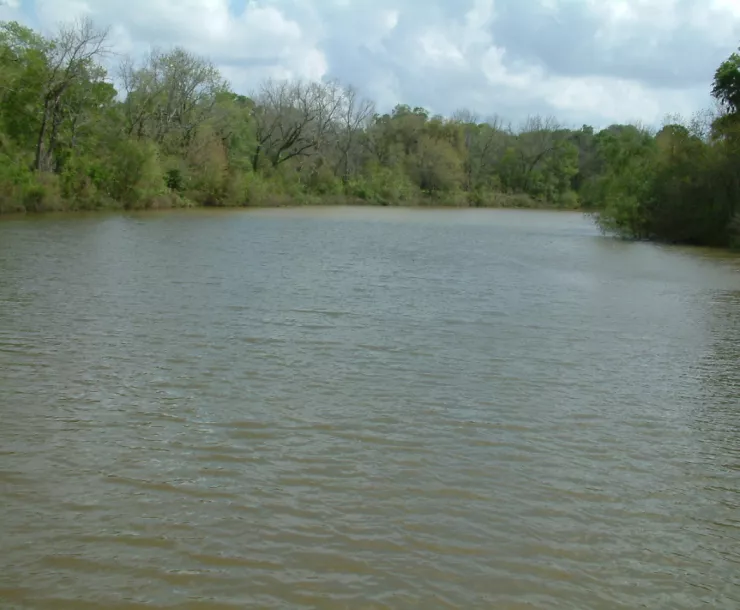 scenicRiver.jpg