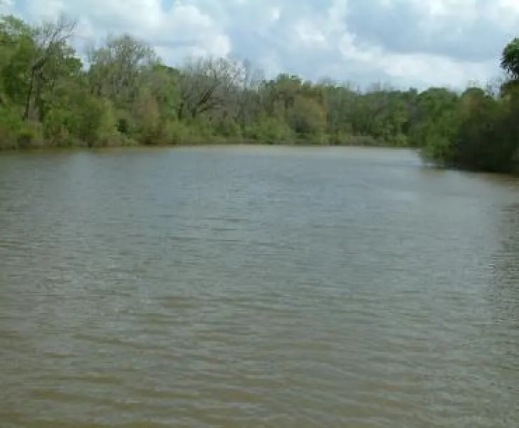 scenicRiver.jpg