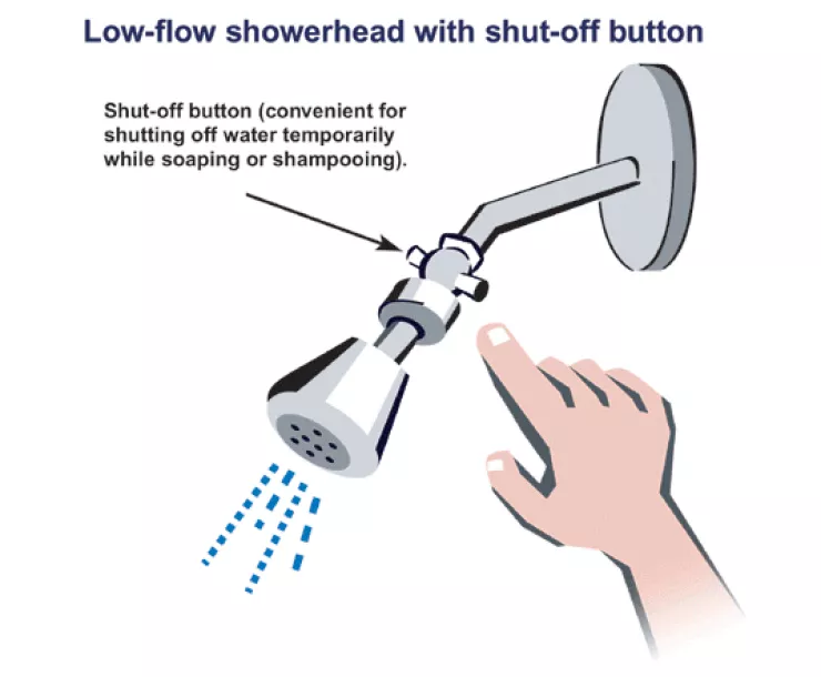 shower head.png