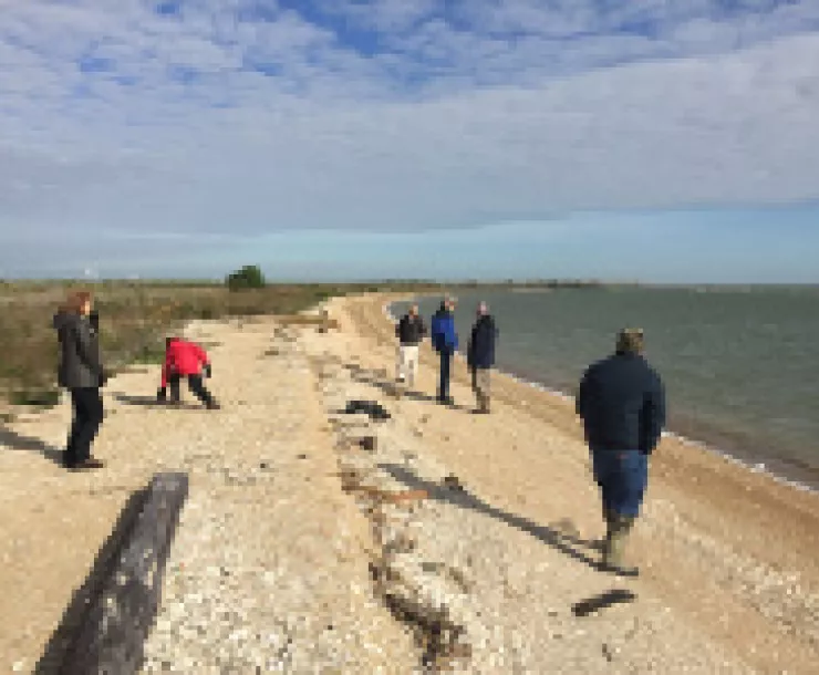 small-Beach-combing at Virginia Point by Gary Stephenson.jpeg