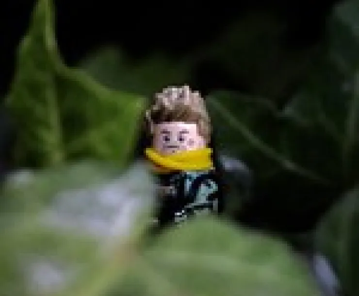 sneaky.jpg