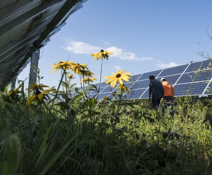 solar1.jpg