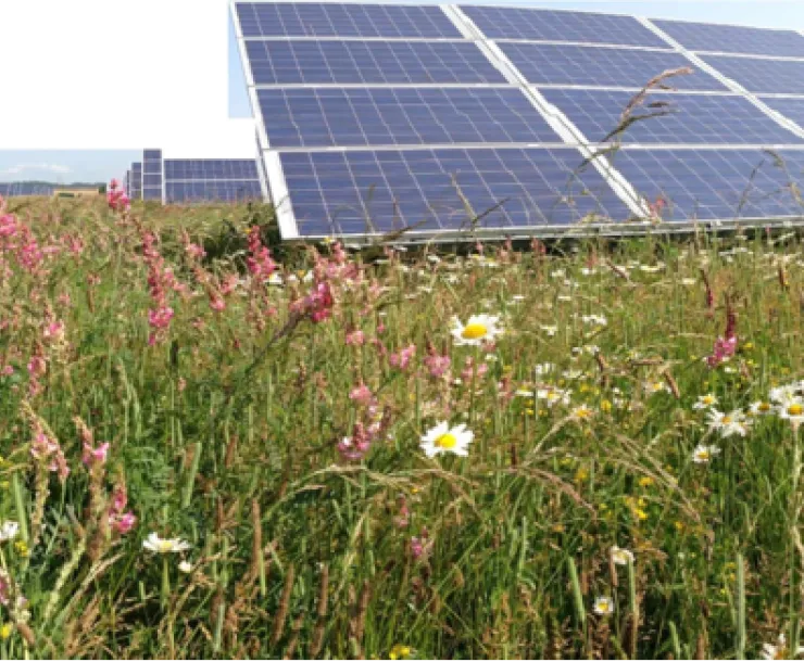 solar_array.png