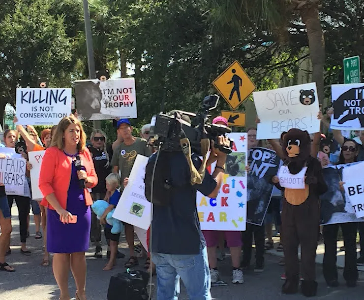 st pete bear protest2.jpeg