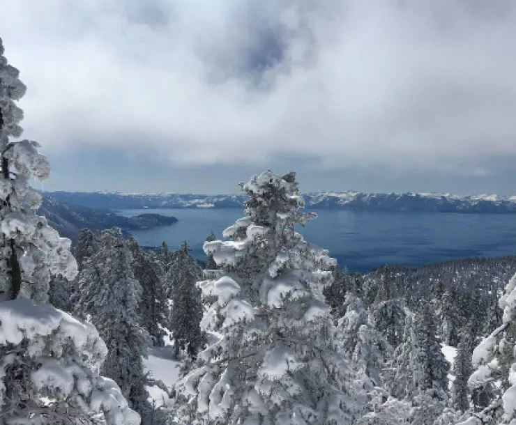 tahoesnow.jpg