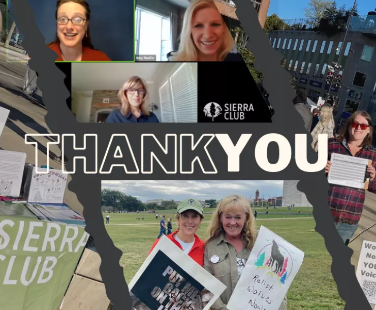 thank (1876 x 591 px).png