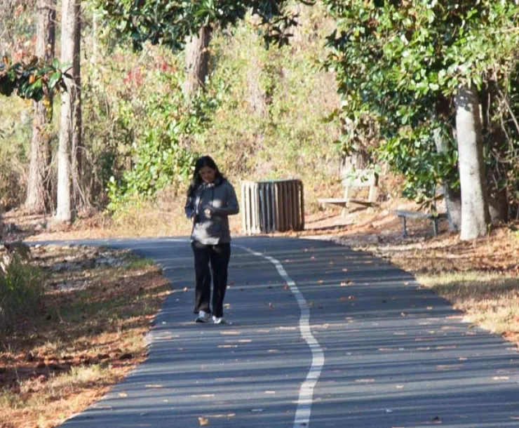 trail-3.jpg