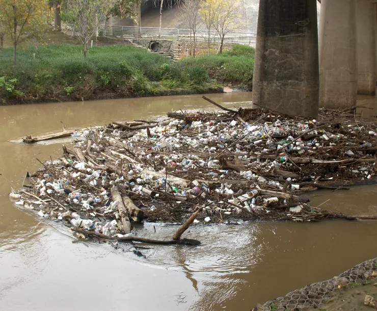 trash-HPIM2153.JPG