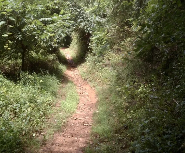 tunnel.jpg