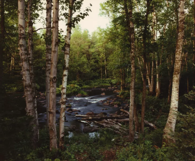 upper-temperance-river.jpg