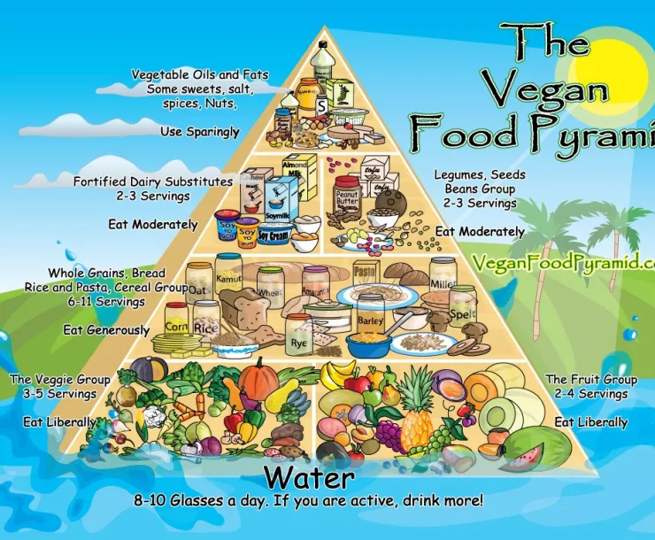 veganPyramid.jpg