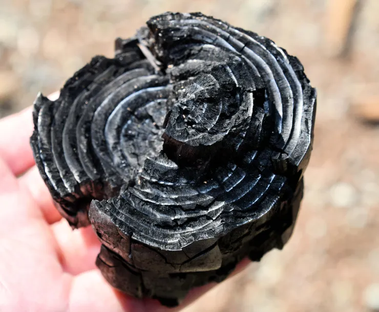 vineyard fires biochar.jpg