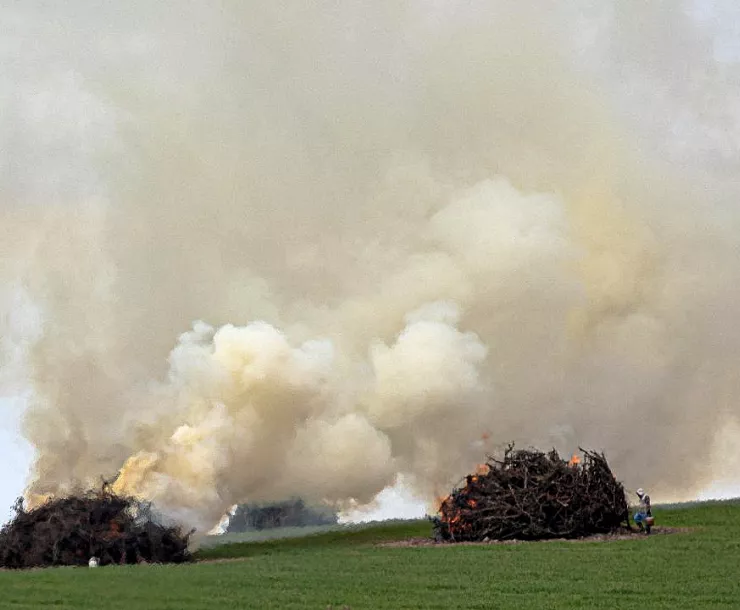 vineyard fires1.jpg