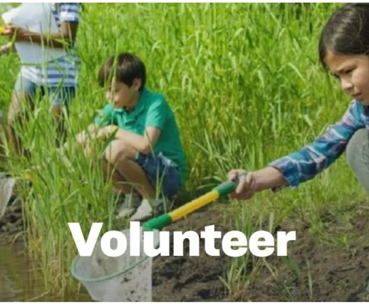 volunteer1.jpg