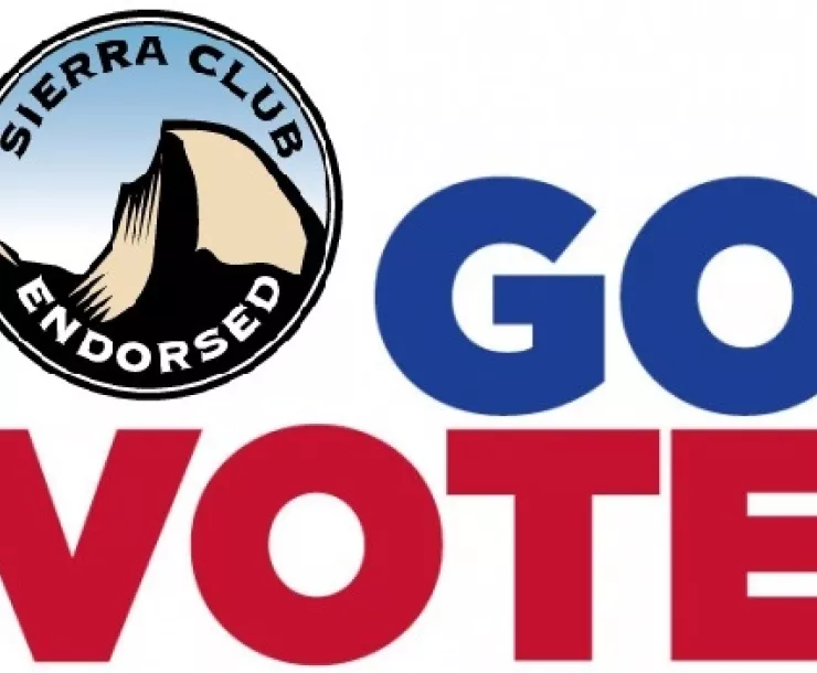 vote endorsed.jpg
