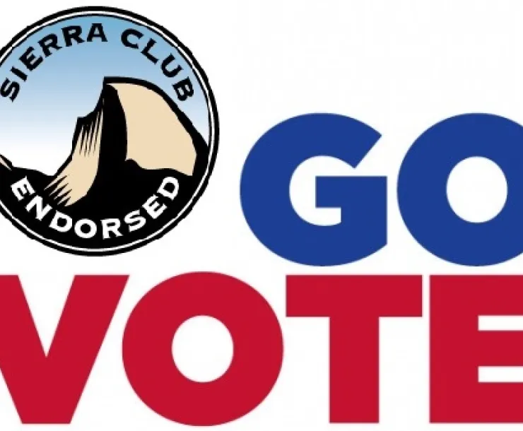 vote endorsed.jpg