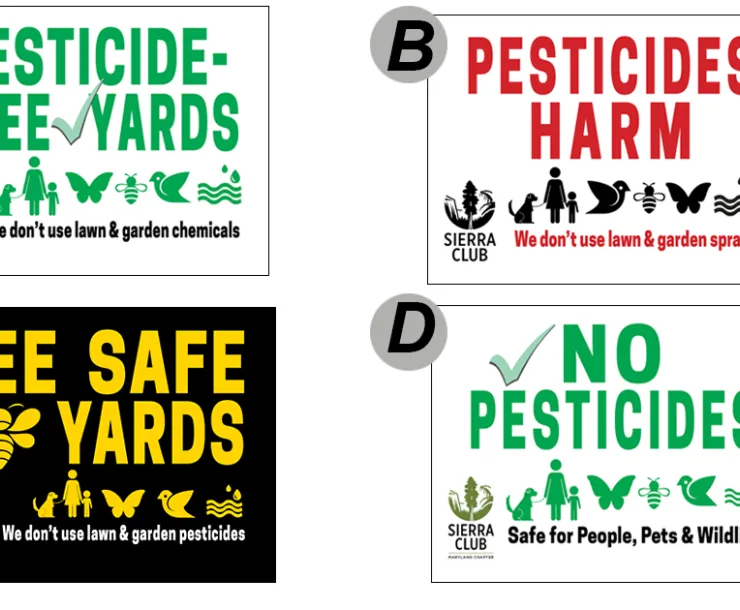vote4lawnsigns-a.jpg