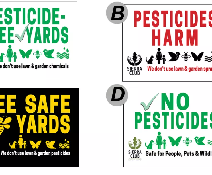 vote4lawnsigns-a.jpg