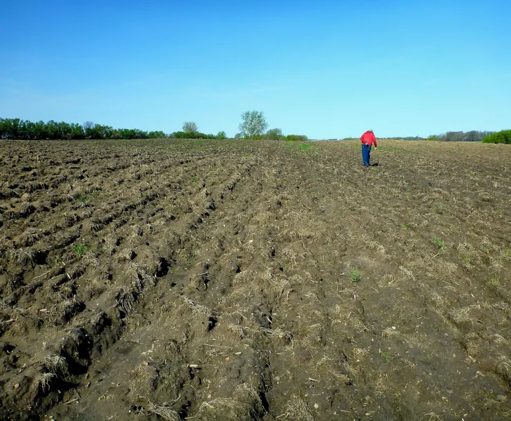 walkingTheField-BobSuchanek.jpg