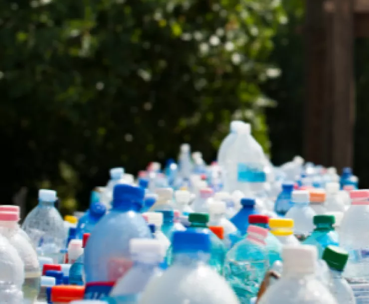 water bottles.png