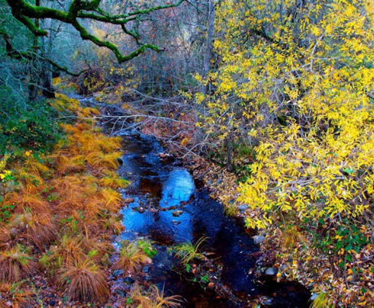 water creek photo small.jpg