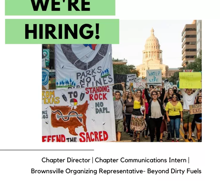 we're hiring again again!.png