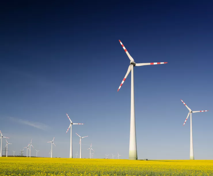 zbynek-burival-505232-unsplash (1).jpg