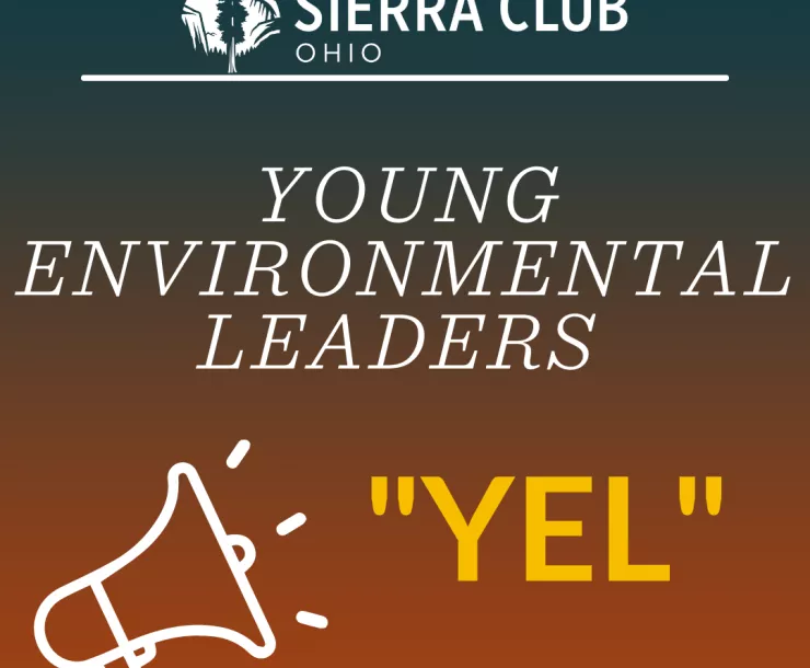 YEL logo.png