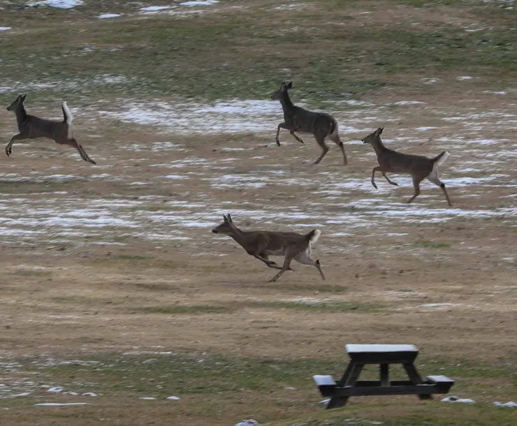 555A2967Jeremy Covert, Glacier (2).jpg