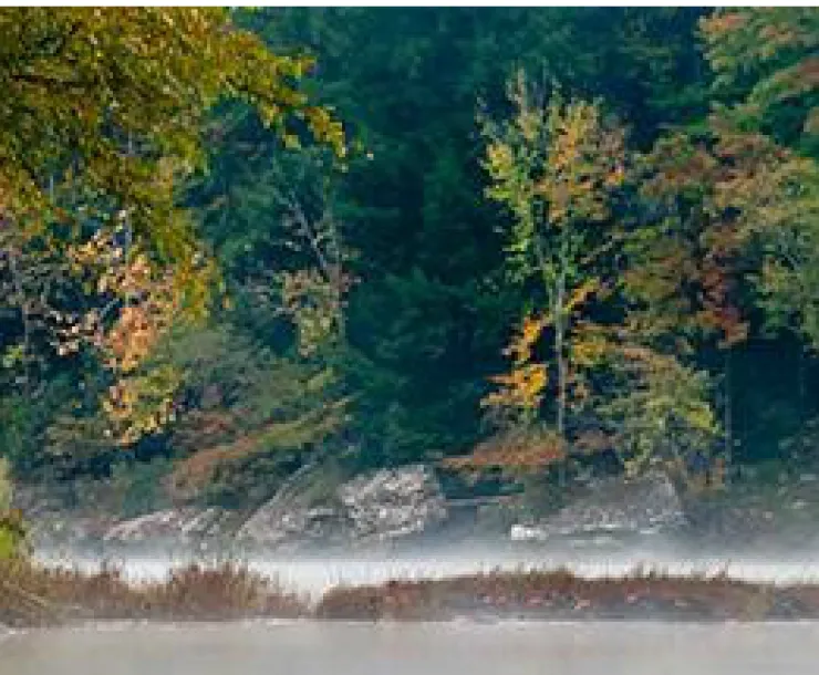 greater-louisville-misty-river.jpg