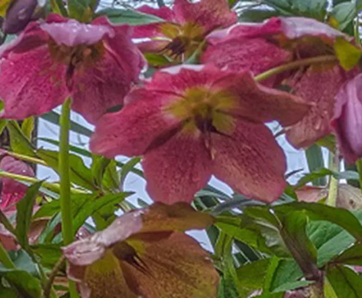 2103 newsletter thumb.jpg