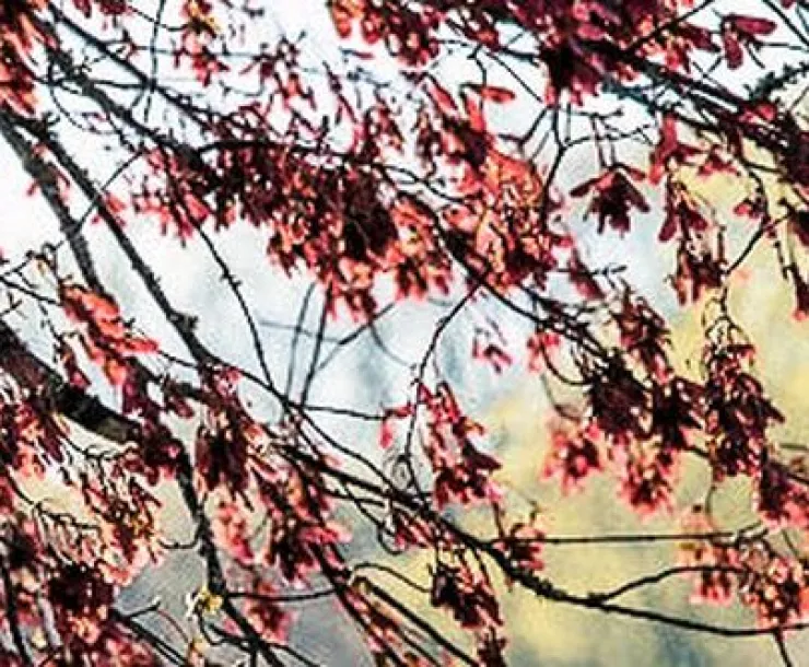 April 21 blog thumb.jpg