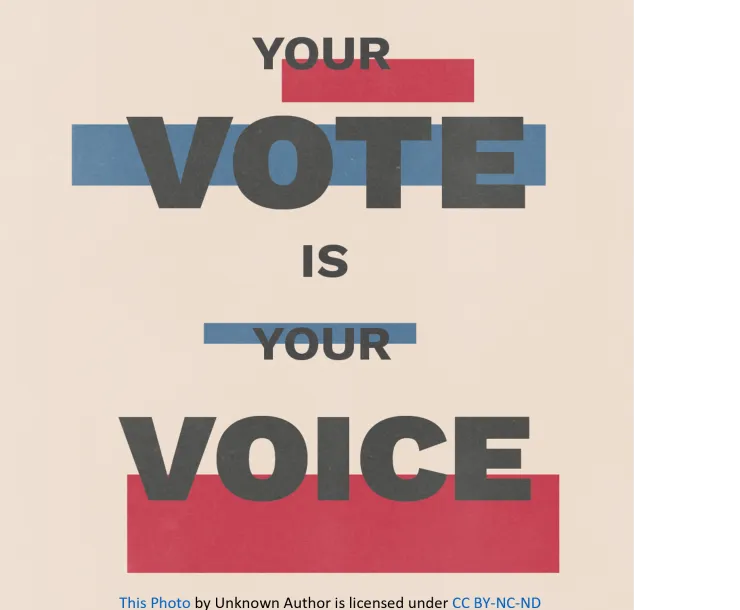 Your vote is your voice.png