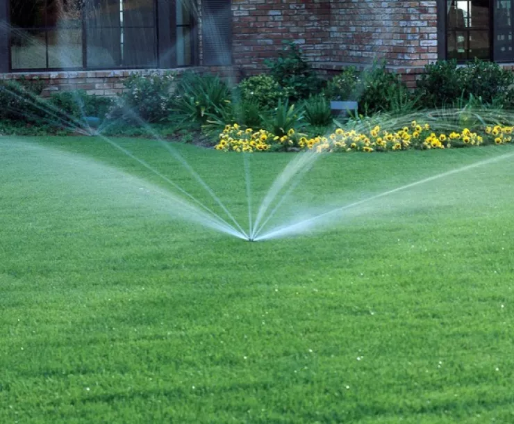 CHP-1900-TX-sprinkler_garden.jpeg