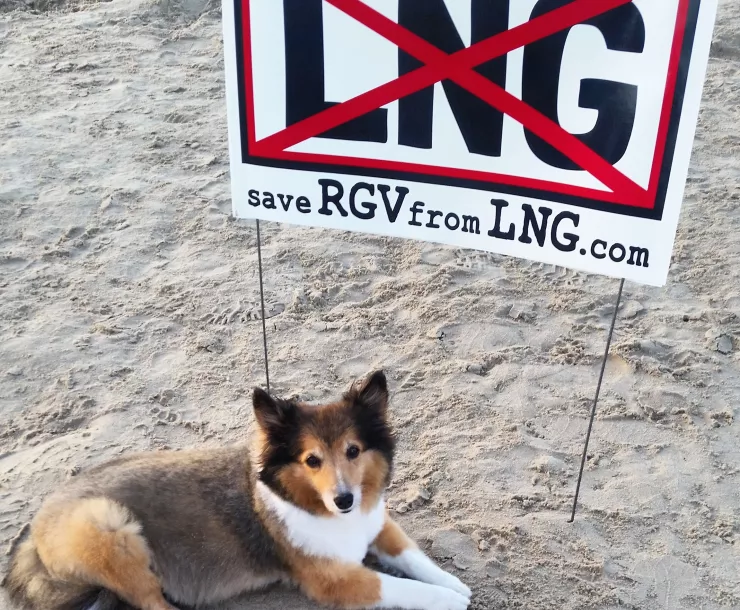 CHP-TX-1900-NoLNG-YesPuppies.jpg