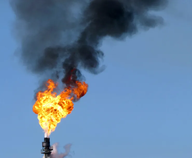 CHP-TX-1900-flare!!.jpg
