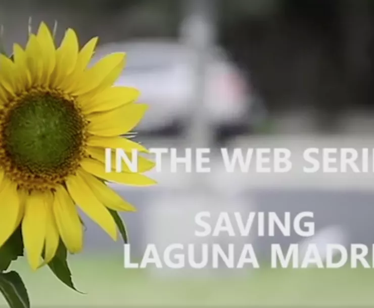 TX-CHP-1900-SavingLagunaMadre.png