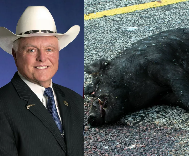 TX-CHP-1900-SidMillerDeadHog.png