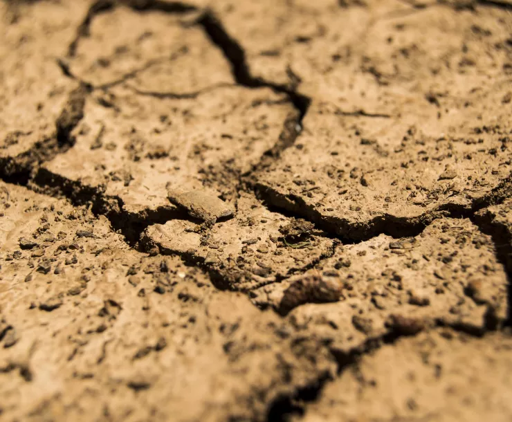 TX-CHP-1900-TexasDrought.jpg