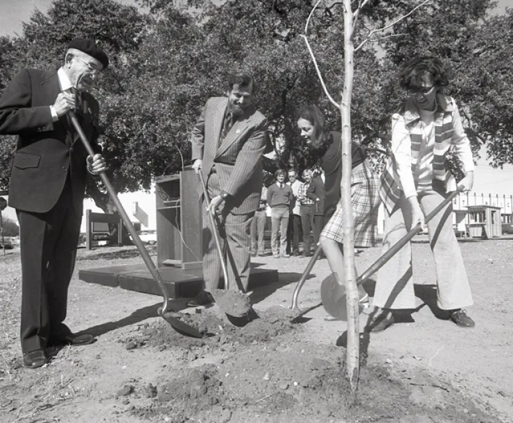 TX-CHP-ThinkTrees.jpg