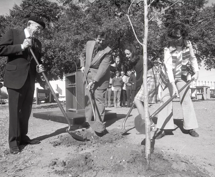TX-CHP-ThinkTrees.jpg