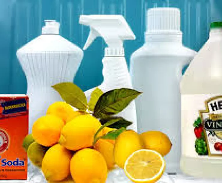 household-cleaners-fruit-earth-day.jpg
