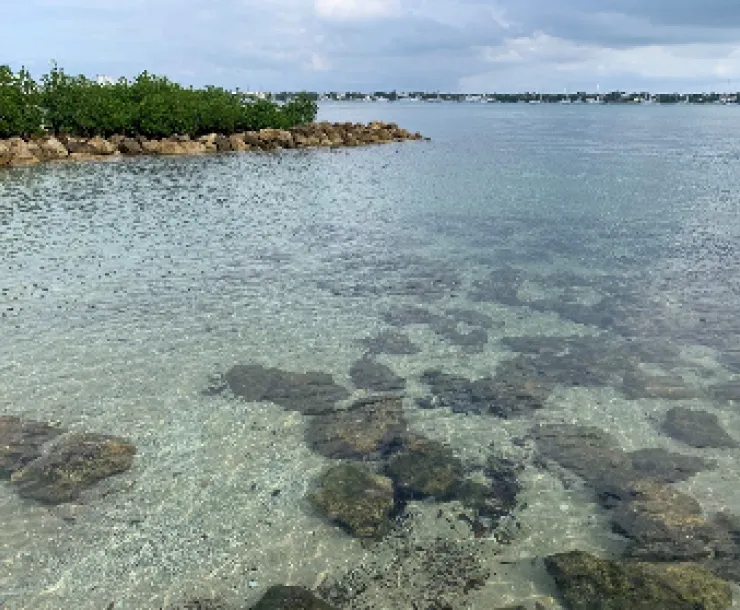 lakeworth_lagoon.png