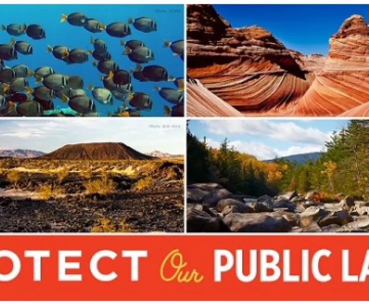 Protect Our Public Lands.jpg