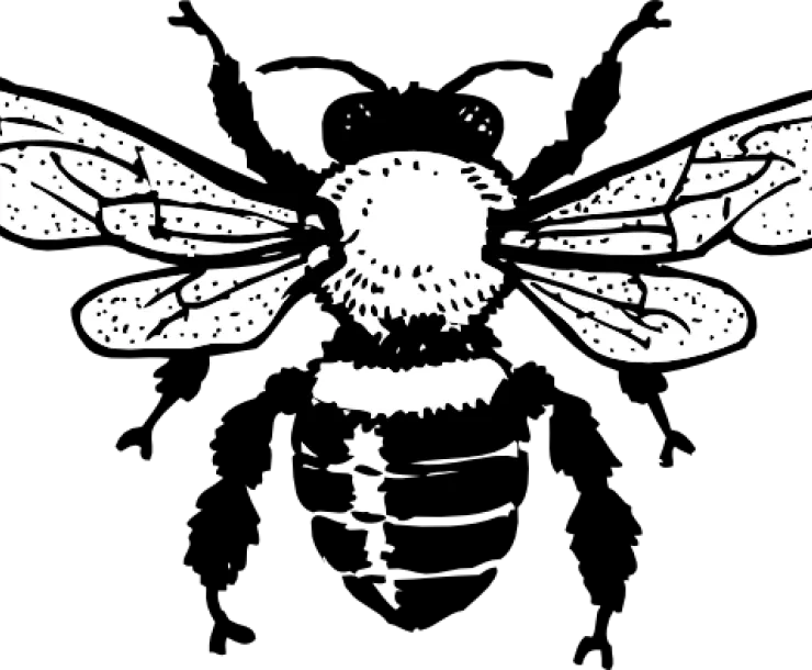bee.png